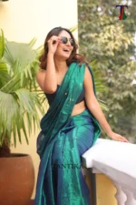 Pure Tissue Gini saree - Image 5