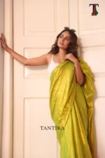 Pure Tissue Gini saree - Image 5